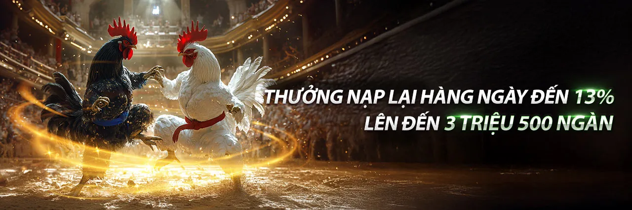 Hình ảnh gà chọi chiến đấu tại TKSV388