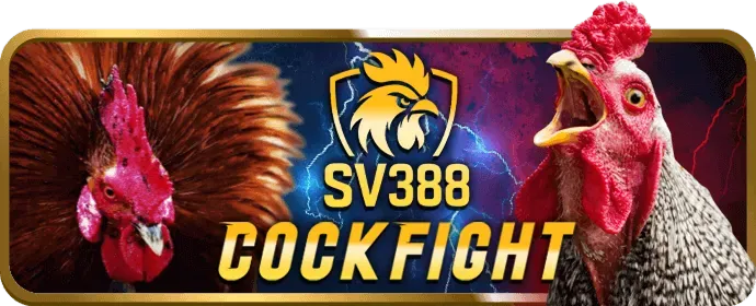 Đá gà trực tuyến tksv388